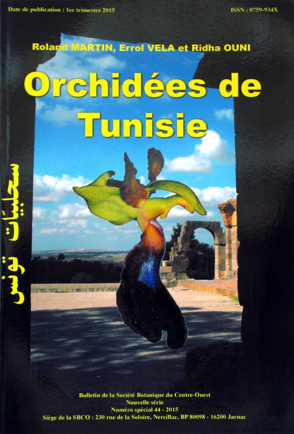 ORCHIDÉES DE TUNISIE 1