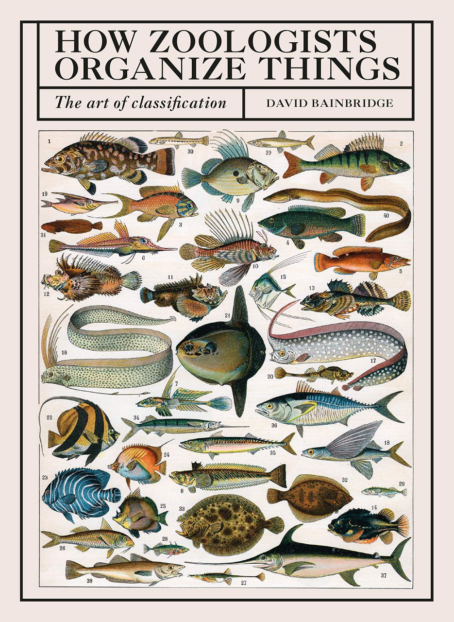 HOW ZOOLOGISTS ORGANIZE THINGS: THE ART OF CLASSIFICATION 1