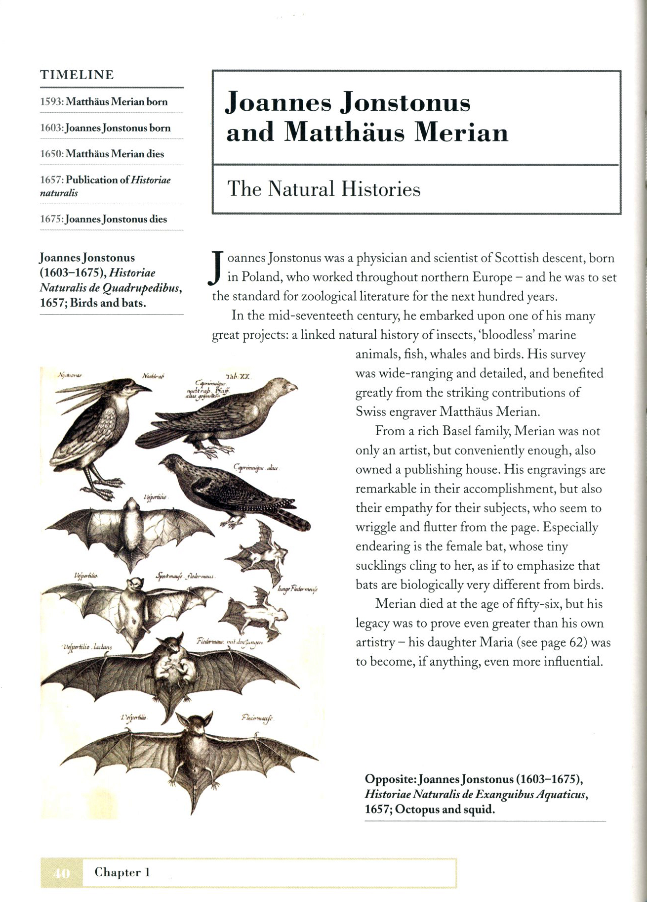 HOW ZOOLOGISTS ORGANIZE THINGS: THE ART OF CLASSIFICATION 2