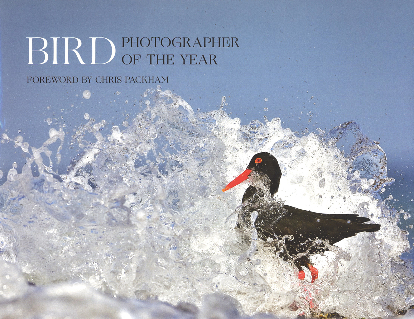 BIRD PHOTOGRAPHER OF THE YEAR: COLLECTION 5
