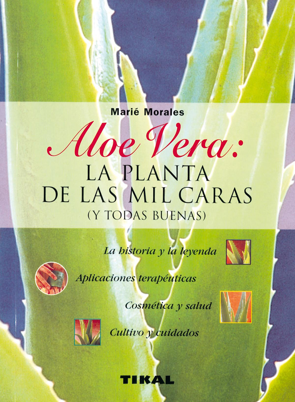 ALOE VERA: LA PLANTA DE LAS MIL CARAS (Y TODAS BUENAS)