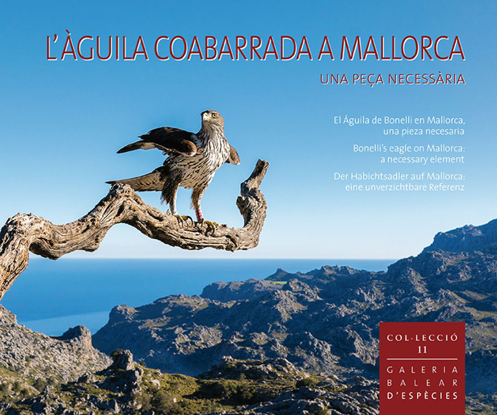 L'ÀGUILA COABARRADA A MALLORCA. UNA PEÇA NECESSÀRIA 1