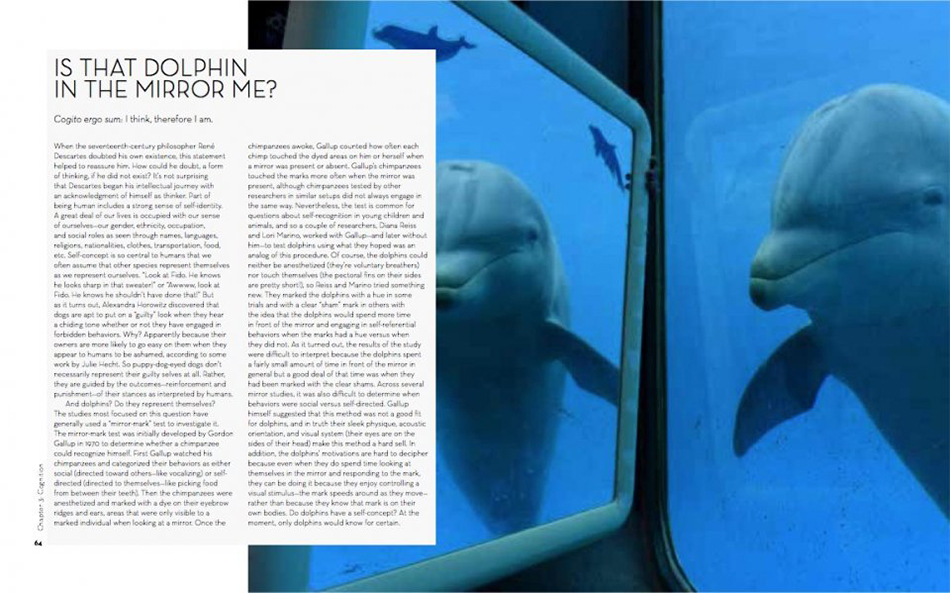 DEEP THINKERS: AN EXPLORATION OF INTELLIGENCE IN WHALES, DOLPHINS AND PORPOISES 3