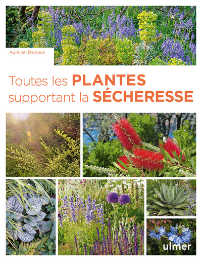 TOUTES LES PLANTES SUPPORTANT LA SÉCHERESSE 1