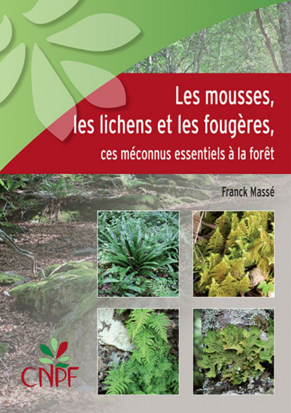 LES MOUSSES, LES LICHENS ET LES FOUGÈRES - CES MÉCONNUS ESSENTIELS À LA FORÊT 1