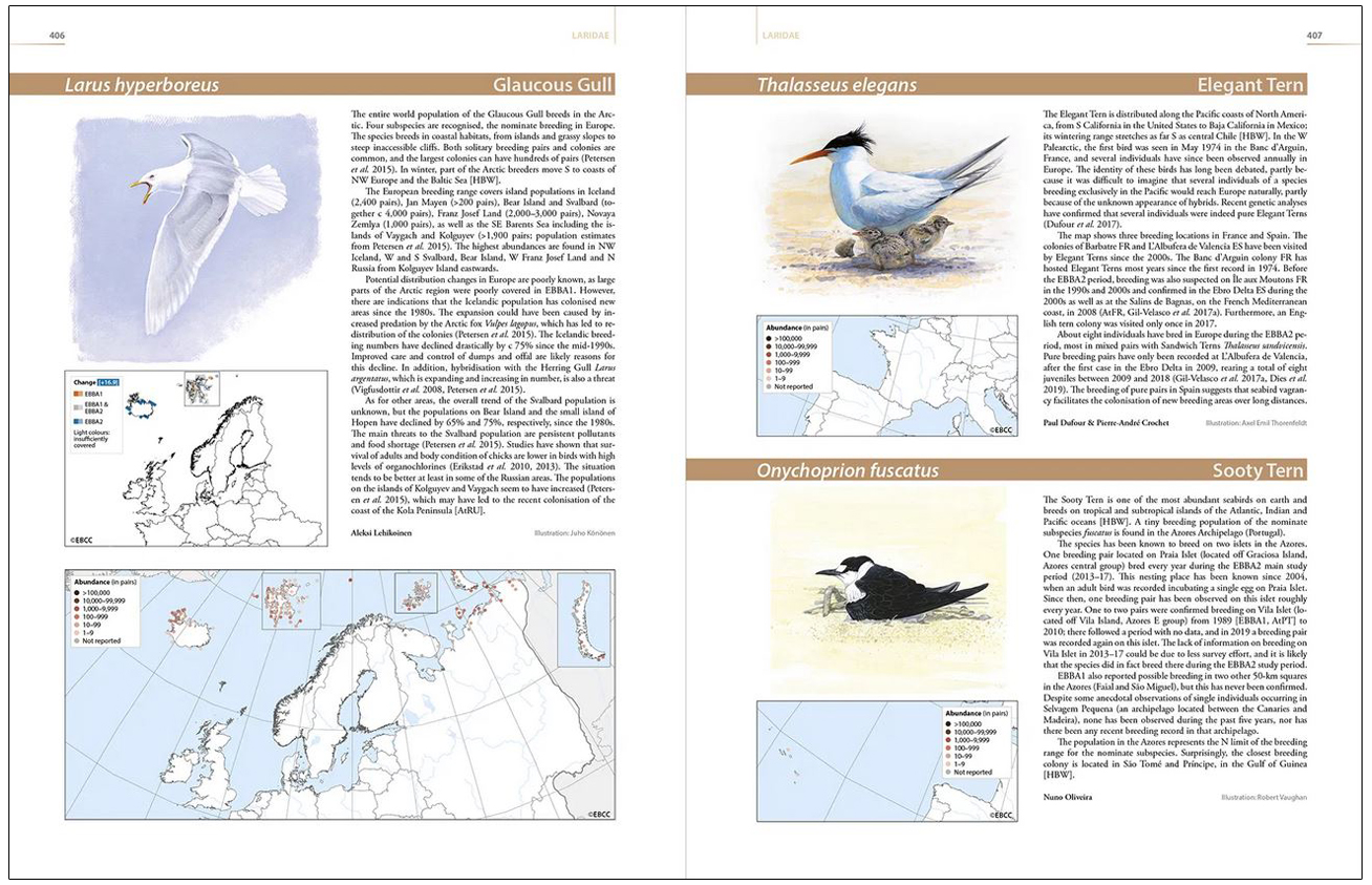 EUROPEAN BREEDING BIRD ATLAS 2. DISTRIBUTION, ABUNDANCE AND CHANGE (EBBA2) 2