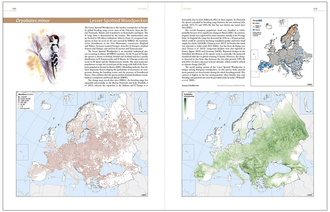 EUROPEAN BREEDING BIRD ATLAS 2. DISTRIBUTION, ABUNDANCE AND CHANGE (EBBA2) 3