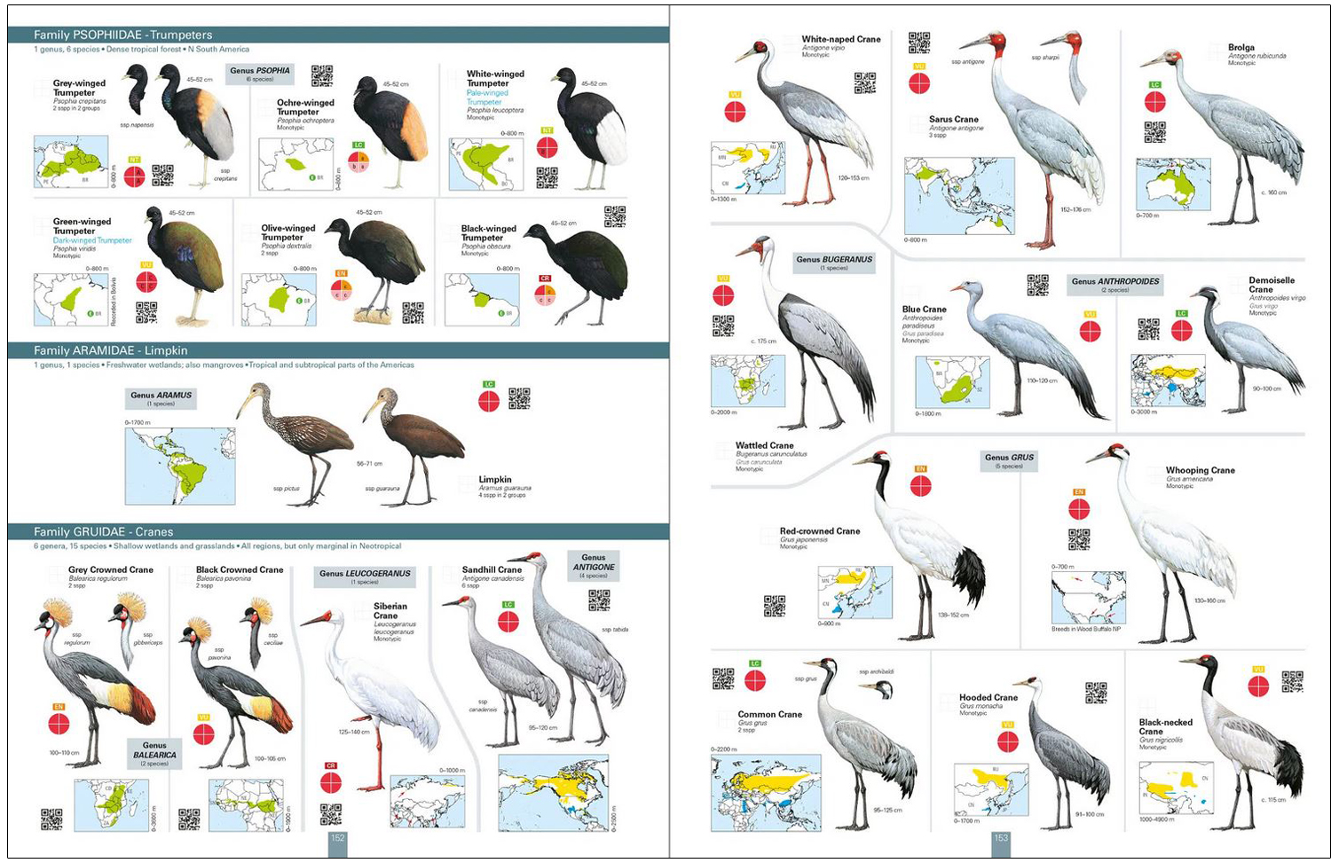 ALL THE BIRDS OF THE WORLD 2