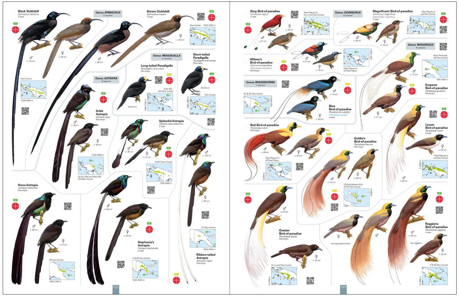 ALL THE BIRDS OF THE WORLD 3