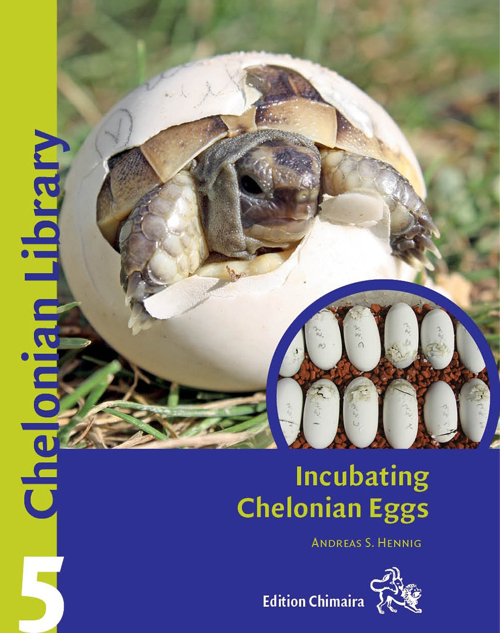 INCUBATING CHELONIAN EGGS