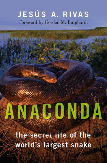 ANACONDA: THE SECRET LIFE OF THE WORLD'S LARGEST SNAKE 1