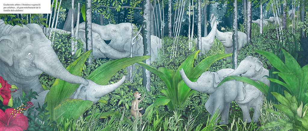 QUAN LA SELVA DESAPAREIX 2