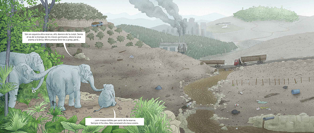 QUAN LA SELVA DESAPAREIX 3