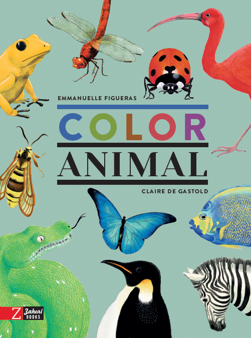 COLOR ANIMAL