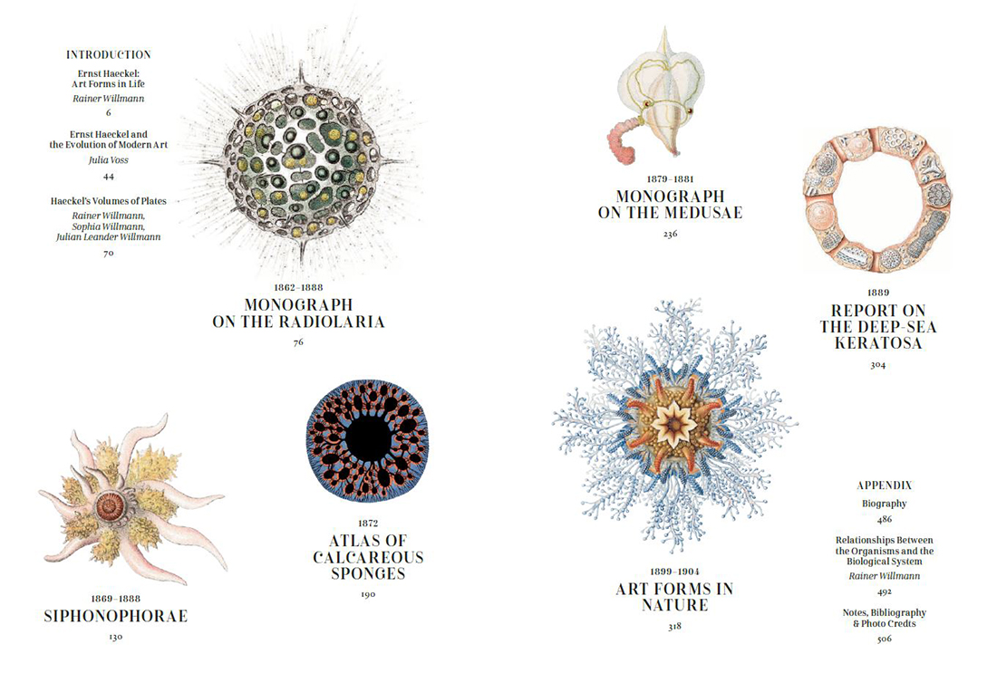 THE ART AND SCIENCE OF ERNST HAECKEL. 40TH ANNIVERSARY EDITION 4