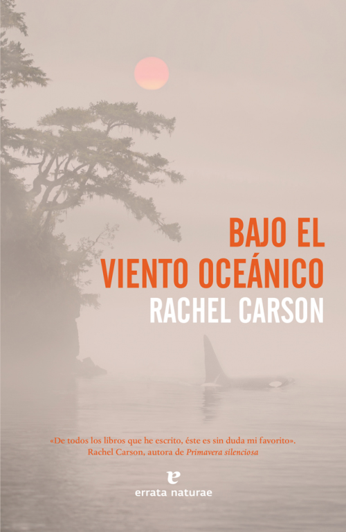 BAJO EL VIENTO OCEÁNICO 1