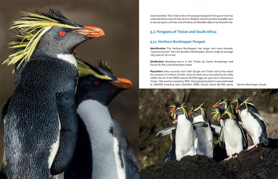 AROUND THE WORLD FOR PENGUINS. WHERE TO SEE ALL THE 18 PENGUIN SPECIES 4