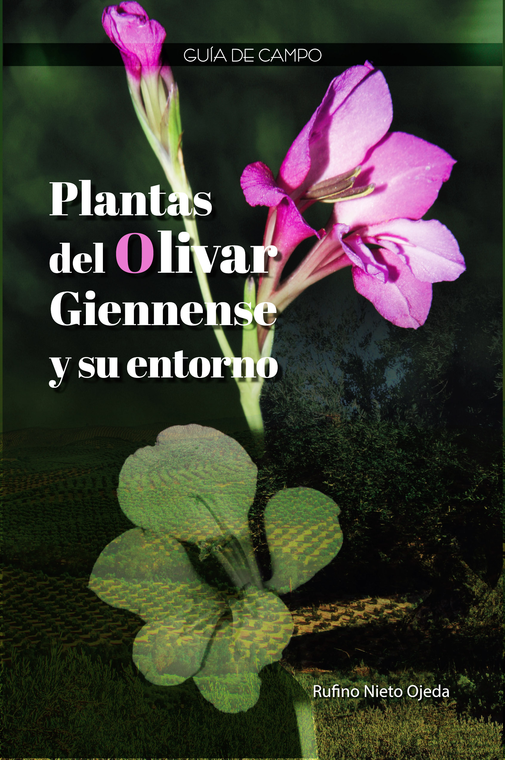PLANTAS DEL OLIVAR GIENNENSE Y SU ENTORNO 1