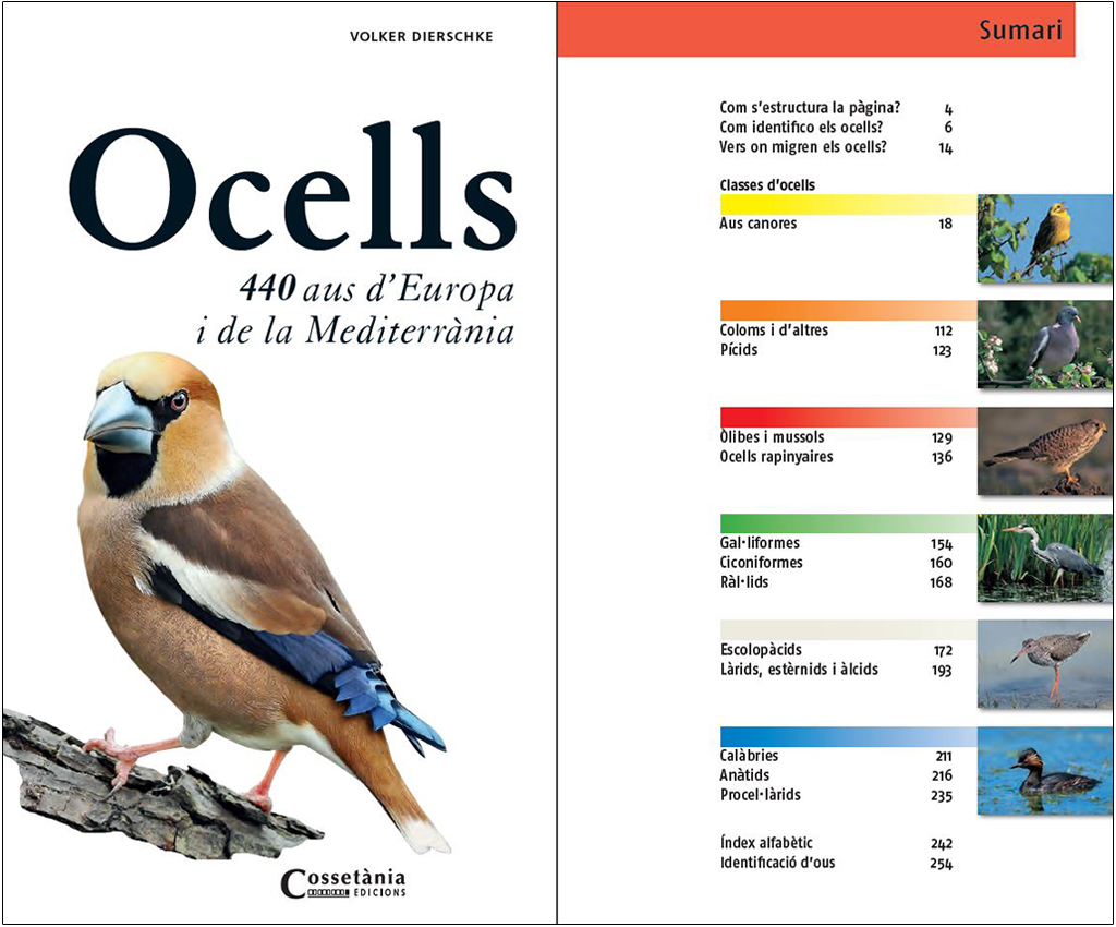 OCELLS 440 AUS D'EUROPA I DE LA MEDITERRÀNIA 2