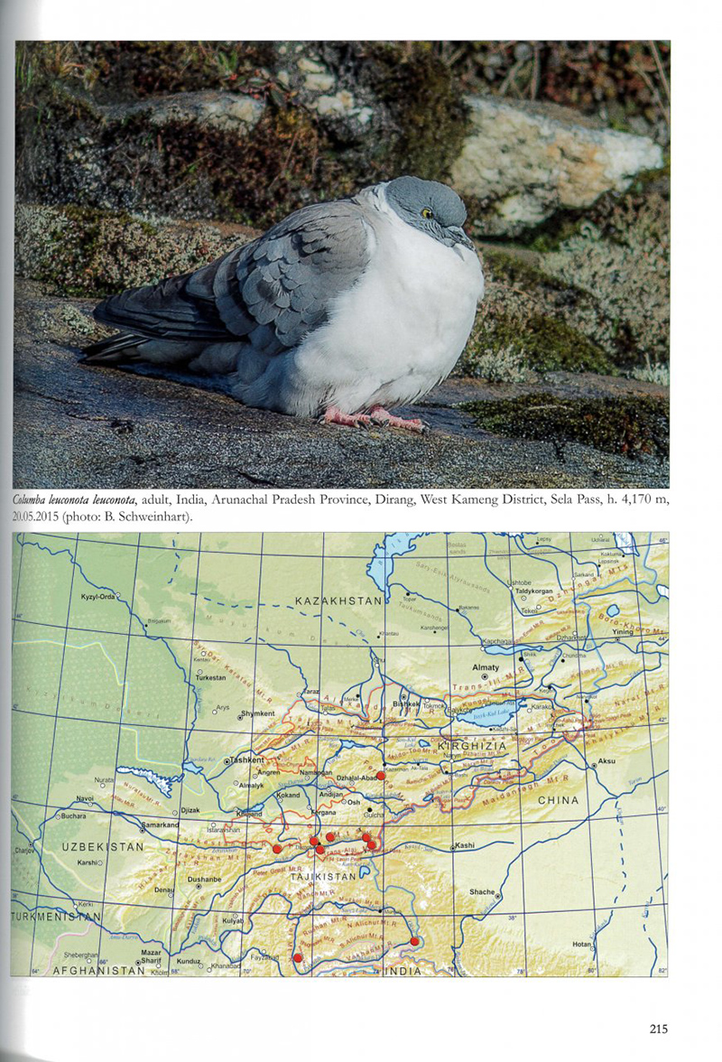 THE BIRDS OF PAMIRS, HISSAR, ALAI AND TIEN SHAN. VOLUME 1: NON-PASSERINES PART 2 3