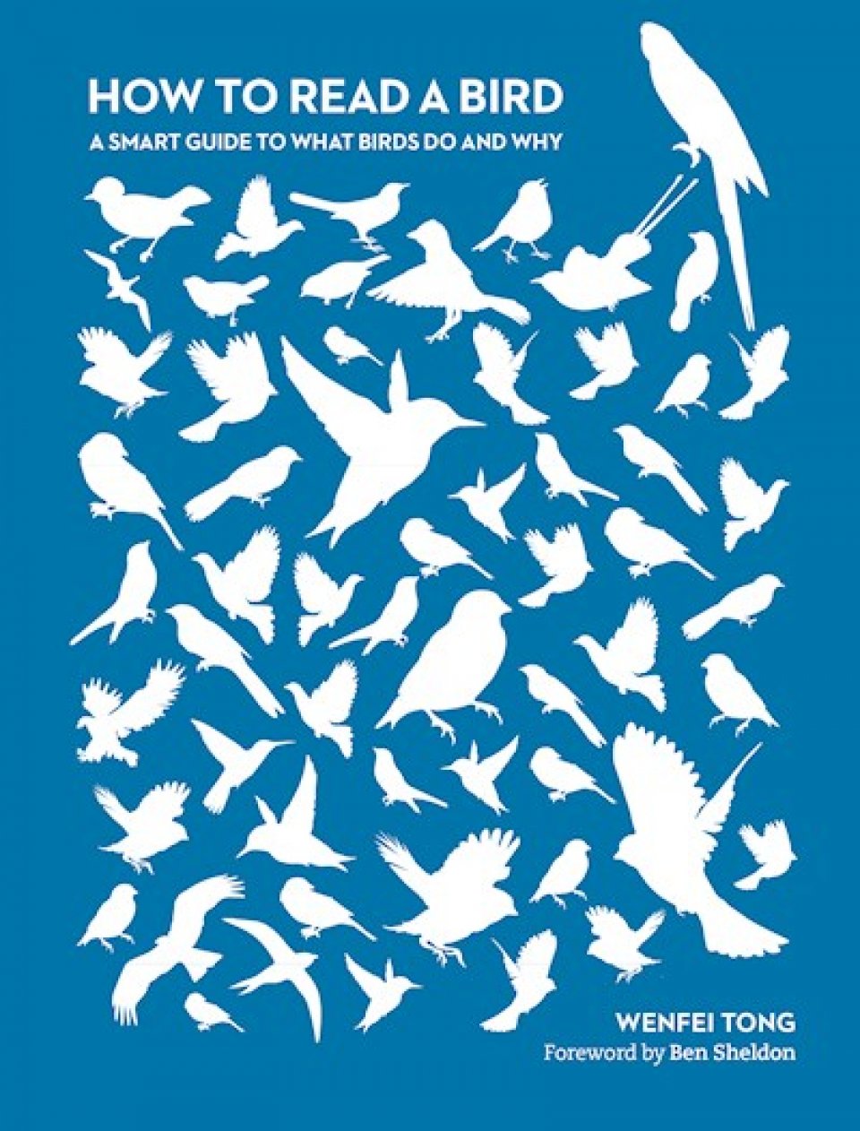 HOW TO READ A BIRD: A SMART GUIDE TO THE WHAT BIRDS DO AND WHY