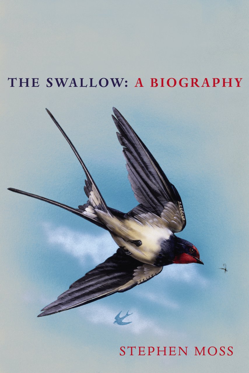 THE SWALLOW: A BIOGRAPHY