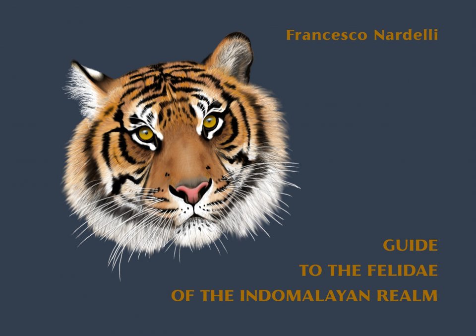 GUIDE TO THE FELIDAE OF THE INDOMALAYAN REALM