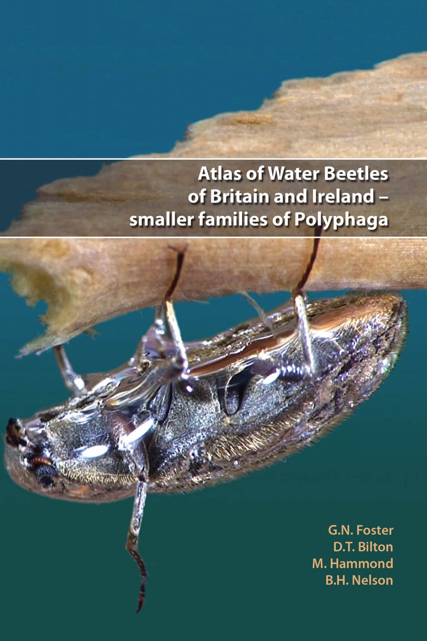 ATLAS OF WATER BEETLES OF BRITAIN AND IRELAND - SMALLER FAMILIES OF POLYPHAGA