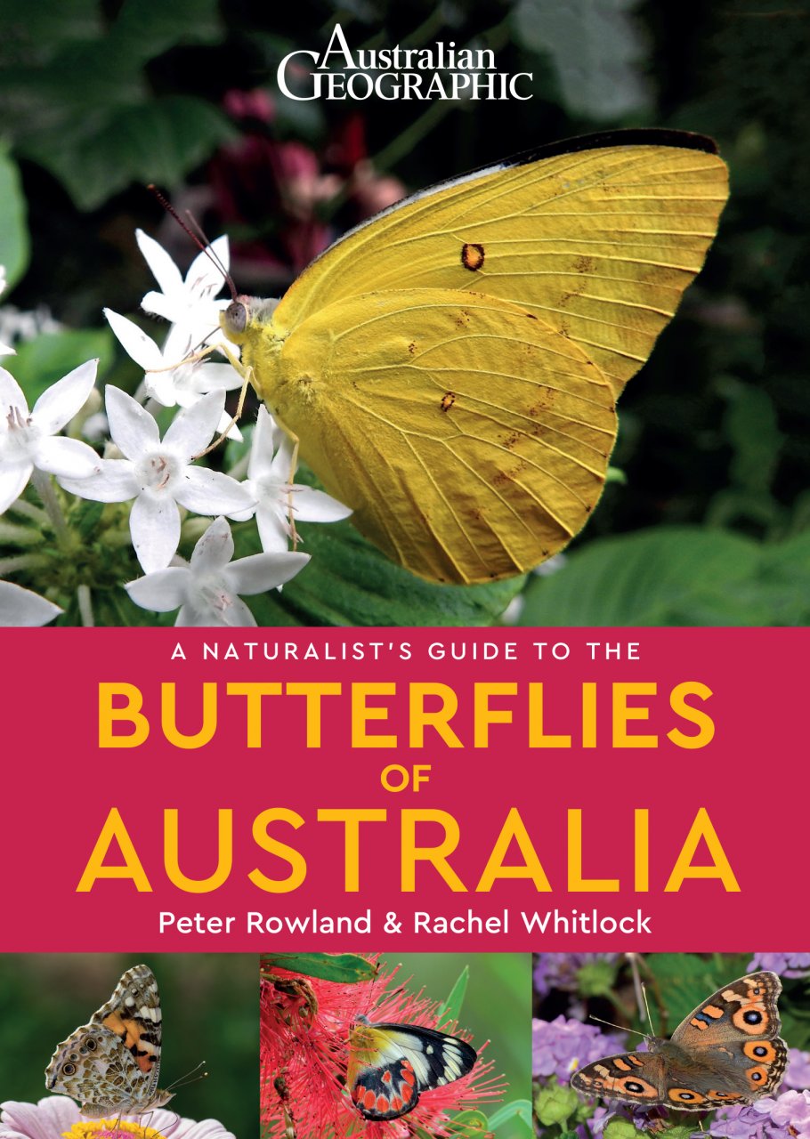 A NATURALIST'S GUIDE TO THE BUTTERFLIES OF AUSTRALIA