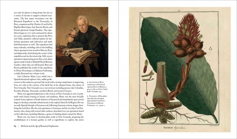 HERBARIUM. THE QUEST TO PRESERVE AND CLASSIFY THE WORLD'S PLANTS 2