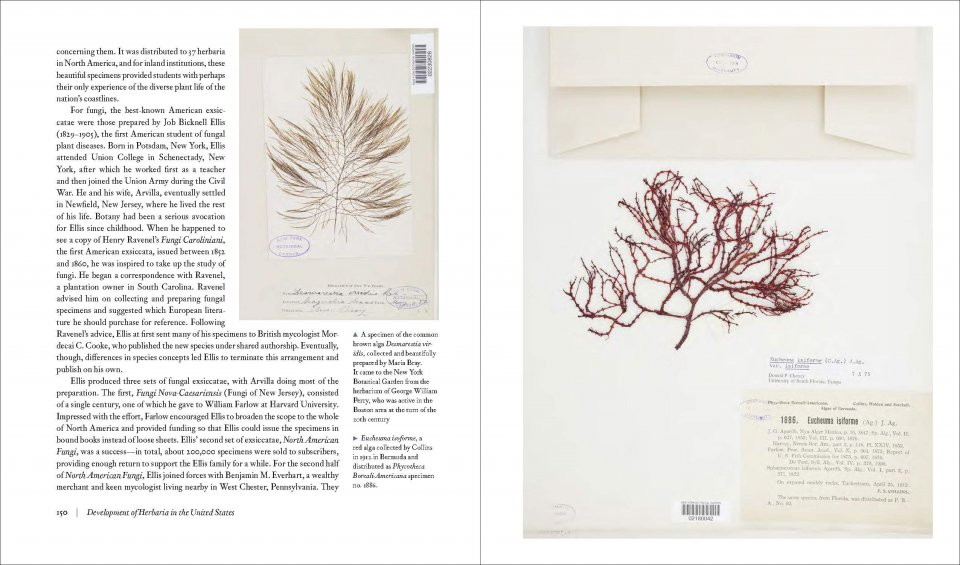 HERBARIUM. THE QUEST TO PRESERVE AND CLASSIFY THE WORLD'S PLANTS 3