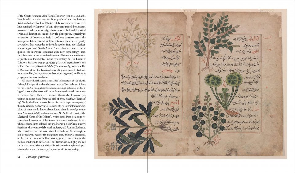HERBARIUM. THE QUEST TO PRESERVE AND CLASSIFY THE WORLD'S PLANTS 4