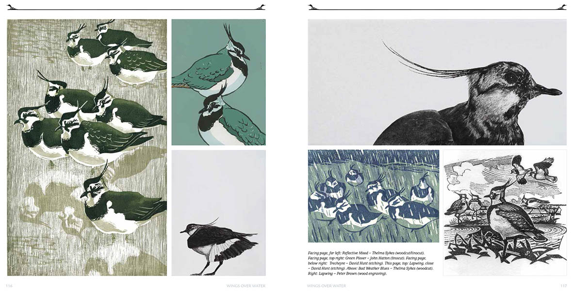 WINGS OVER WATER. WADERS, WILDFOWL, SEABIRDS & MORE 2