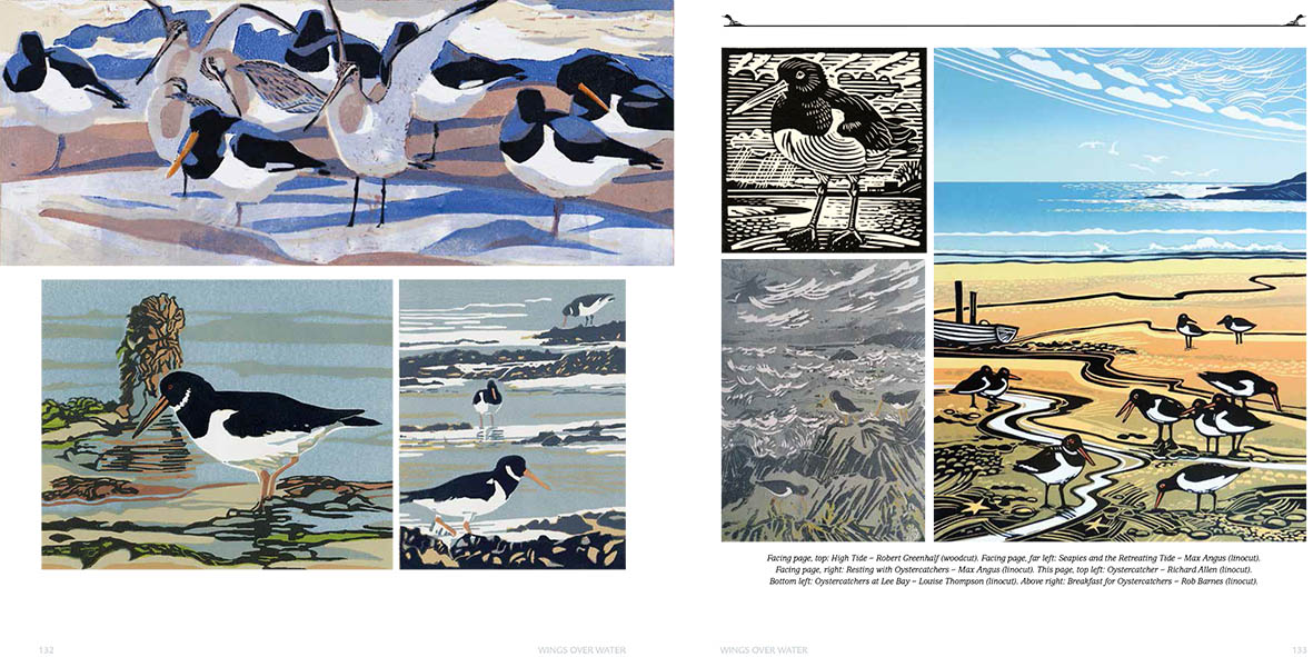 WINGS OVER WATER. WADERS, WILDFOWL, SEABIRDS & MORE 3