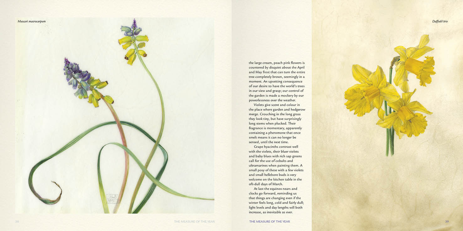 THE MEASURE OF THE YEAR 2