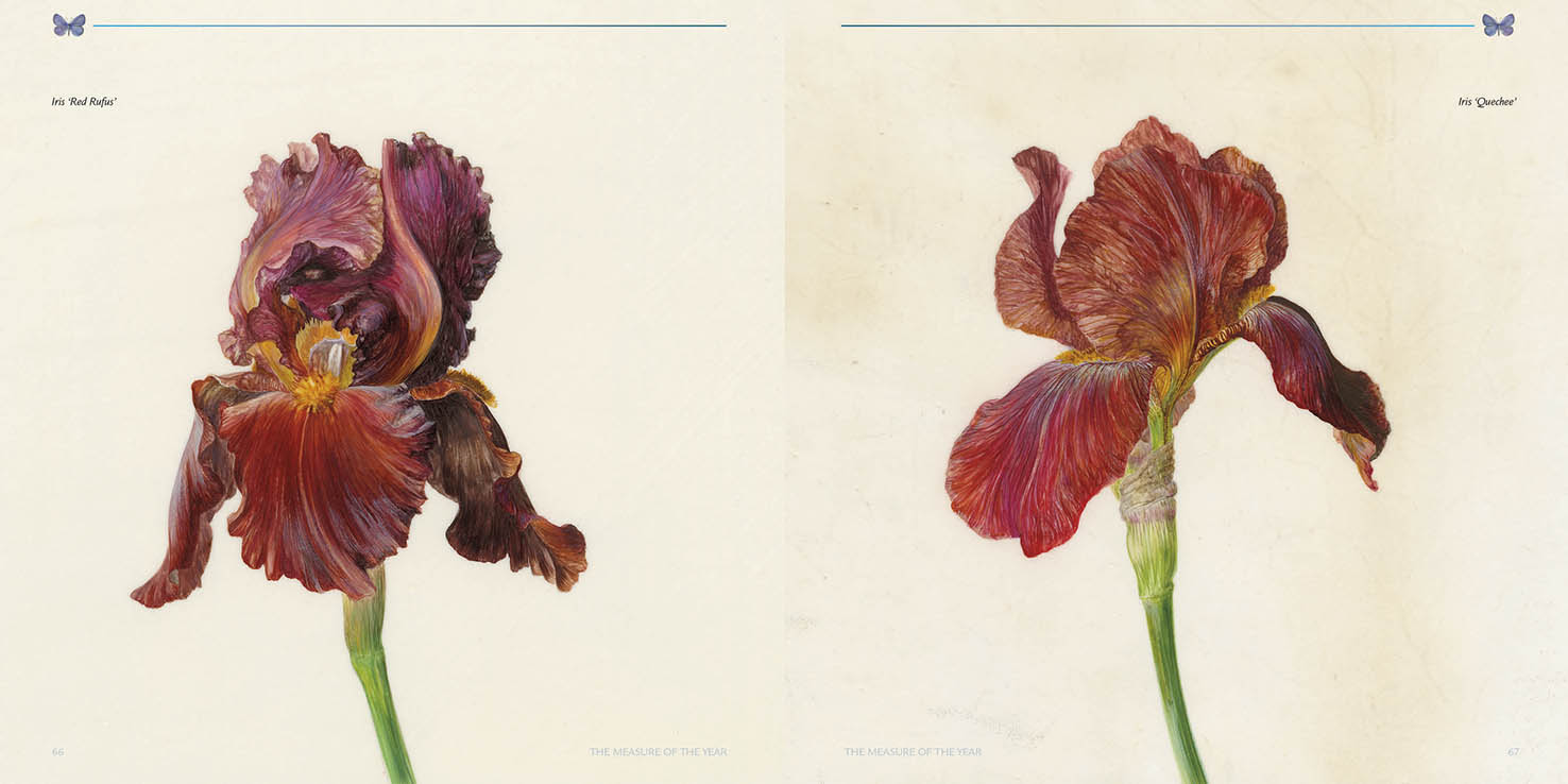 THE MEASURE OF THE YEAR 3