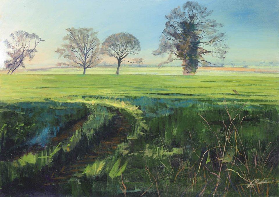 INTO THE WOODS. A CELEBRATION OF TREES 2