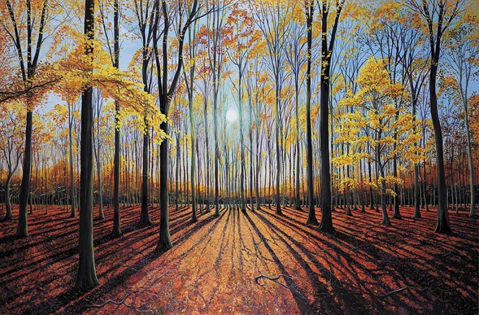 INTO THE WOODS. A CELEBRATION OF TREES 3