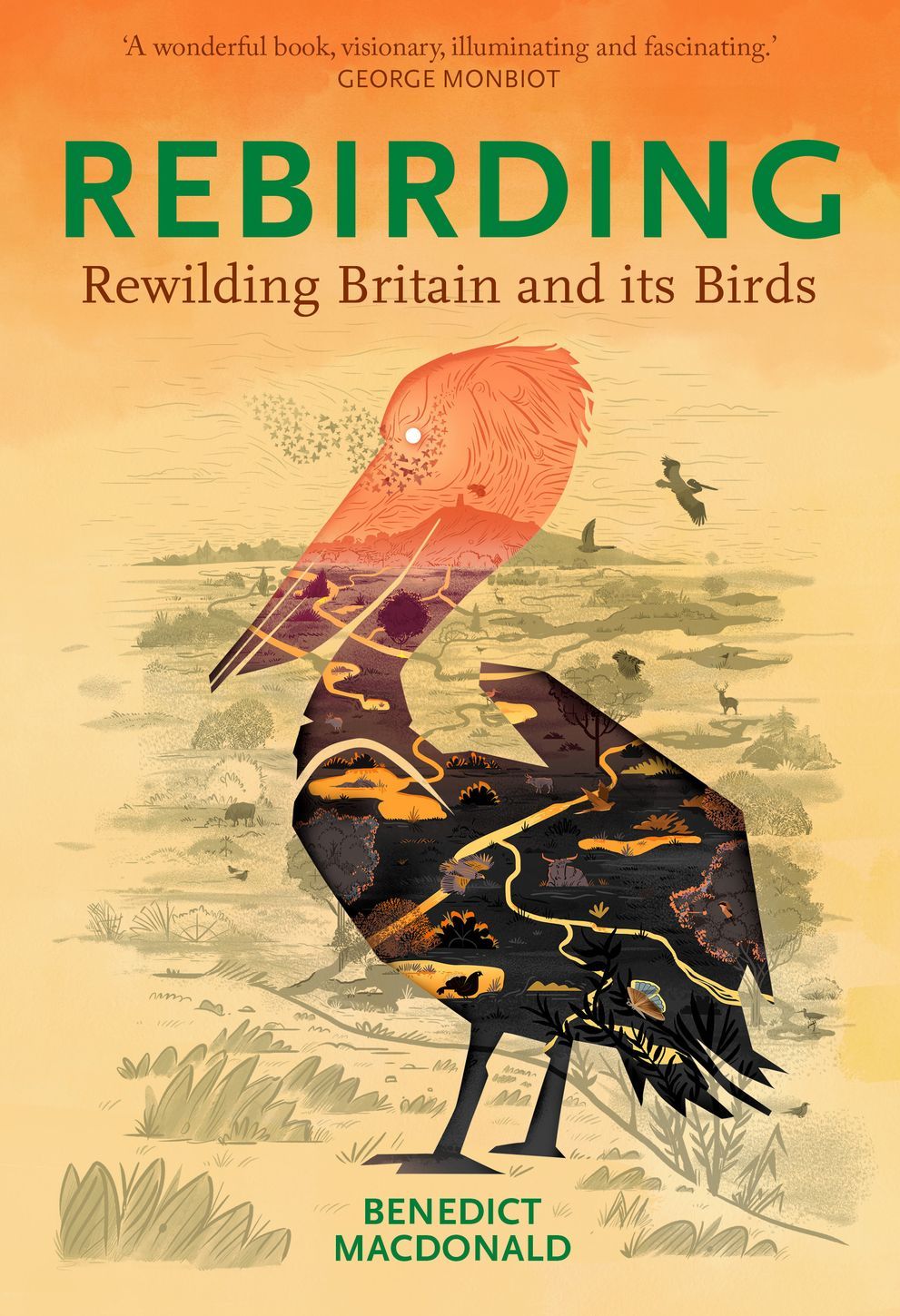 REBIRDING: RESTORING BRITAIN'S WILDLIFE
