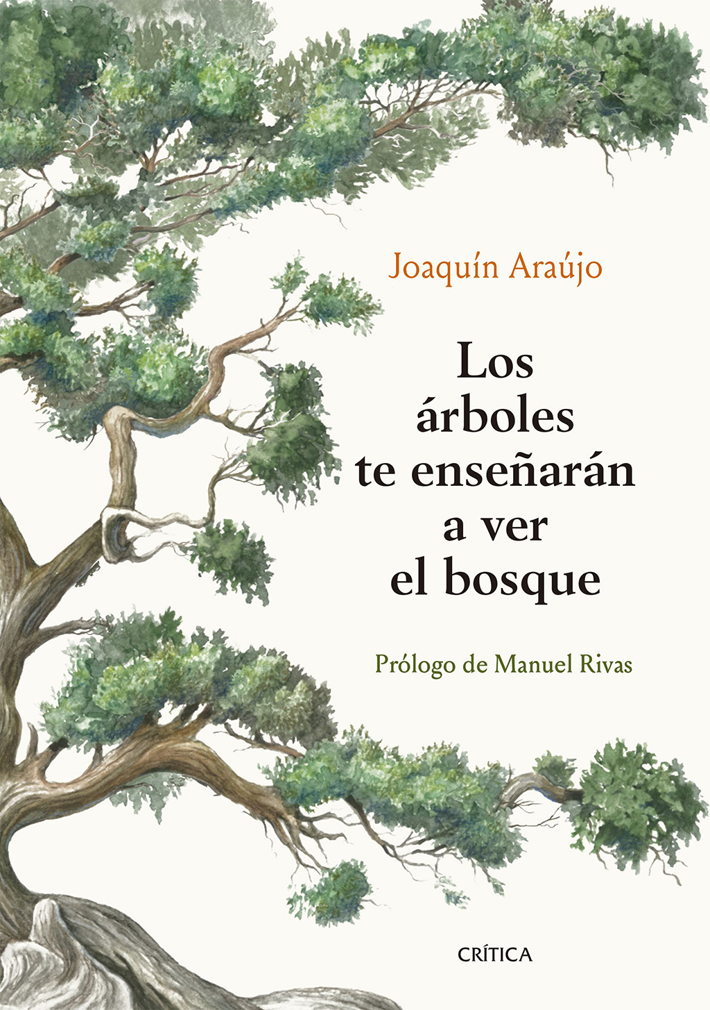 LOS ÁRBOLES TE ENSEÑARÁN A VER EL BOSQUE 1