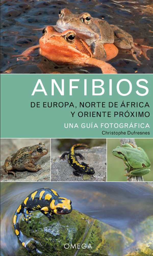 ANFIBIOS DE EUROPA, NORTE DE ÁFRICA Y ORIENTE PRÓXIMO. UNA GUÍA FOTOGRÁFICA 1