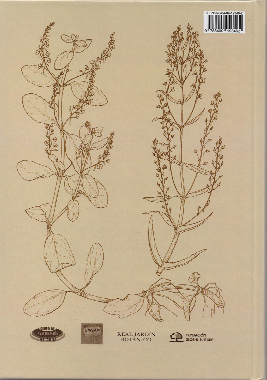 FLORA ACUÁTICA ESPAÑOLA. HELÓFITOS 3