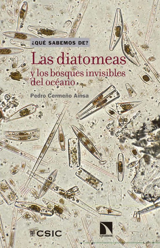 LAS DIATOMEAS Y LOS BOSQUES

INVISIBLES DEL OCÉANO 1