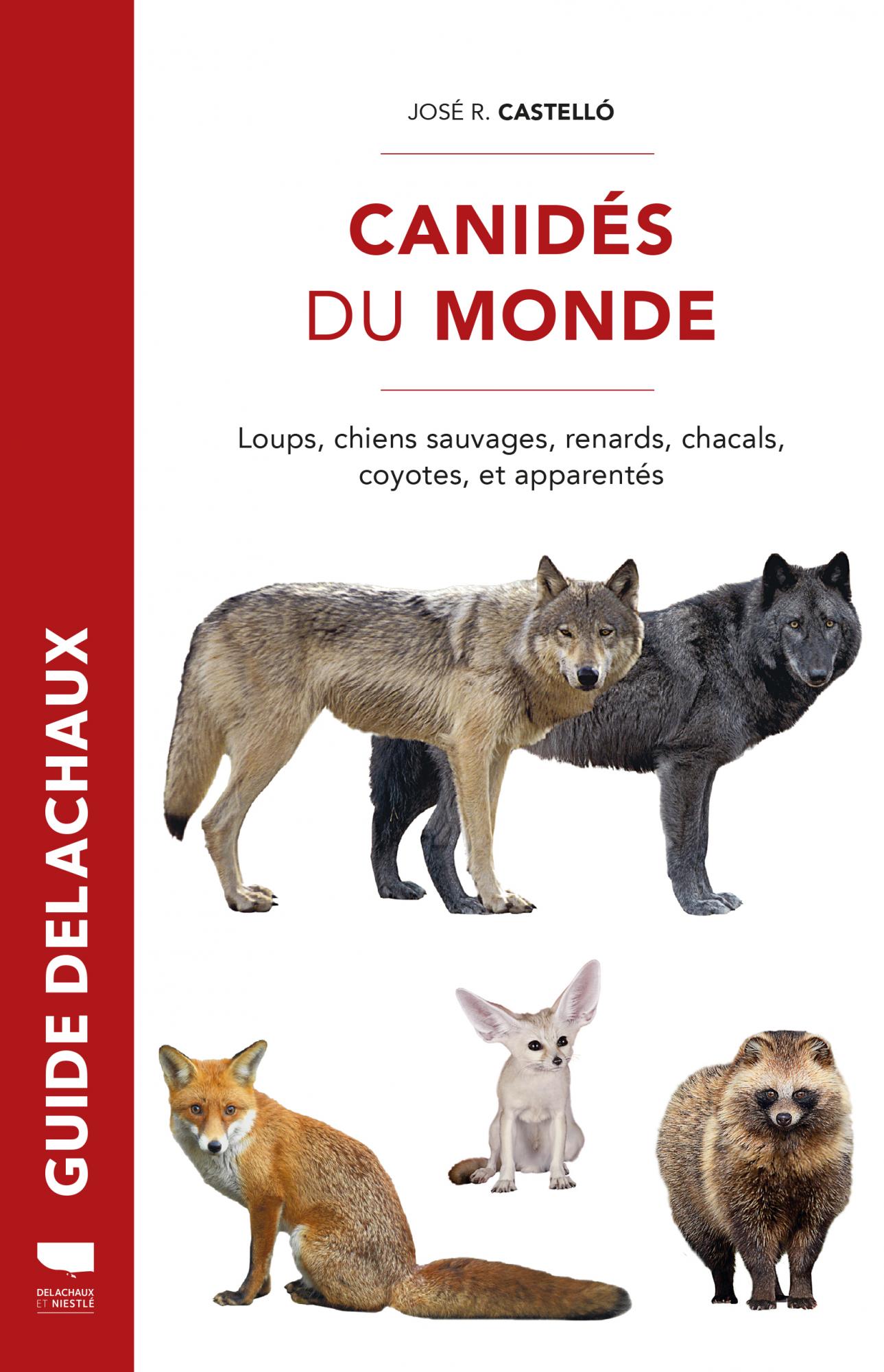 CANIDÉS DU MONDE. LOUPS, CHIENS SAUVAGES, RENARDS, CHACALS, COYOTES ET APPARENTÉS 1