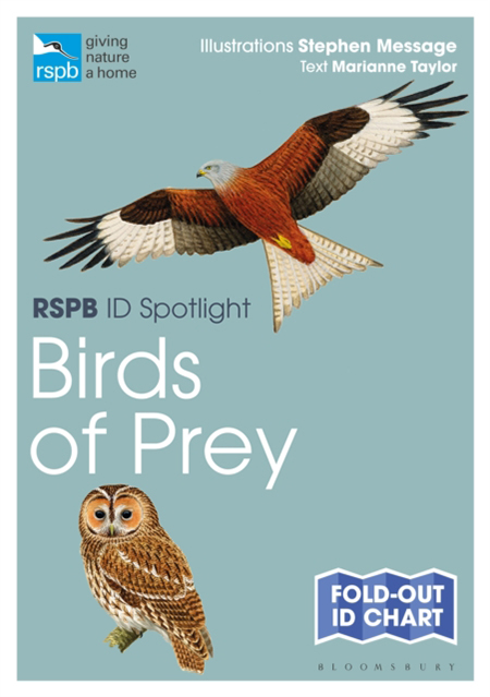 RSPB ID SPOTLIGHT: BIRDS OF PREY