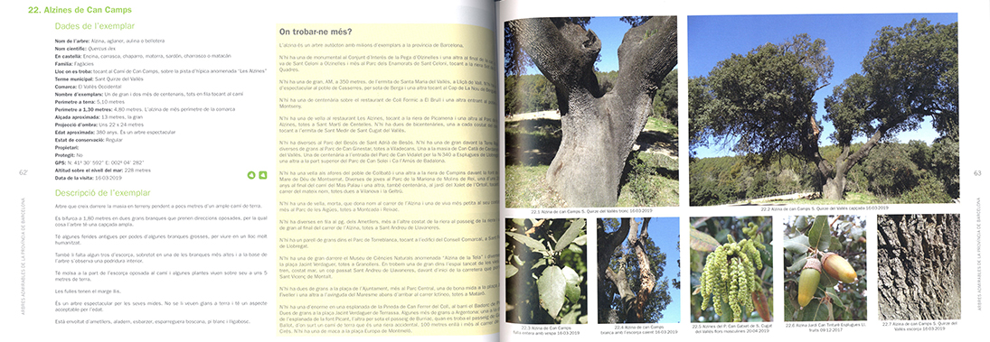 ARBRES ADMIRABLES DE LA PROVINCIA DE BARCELONA 2