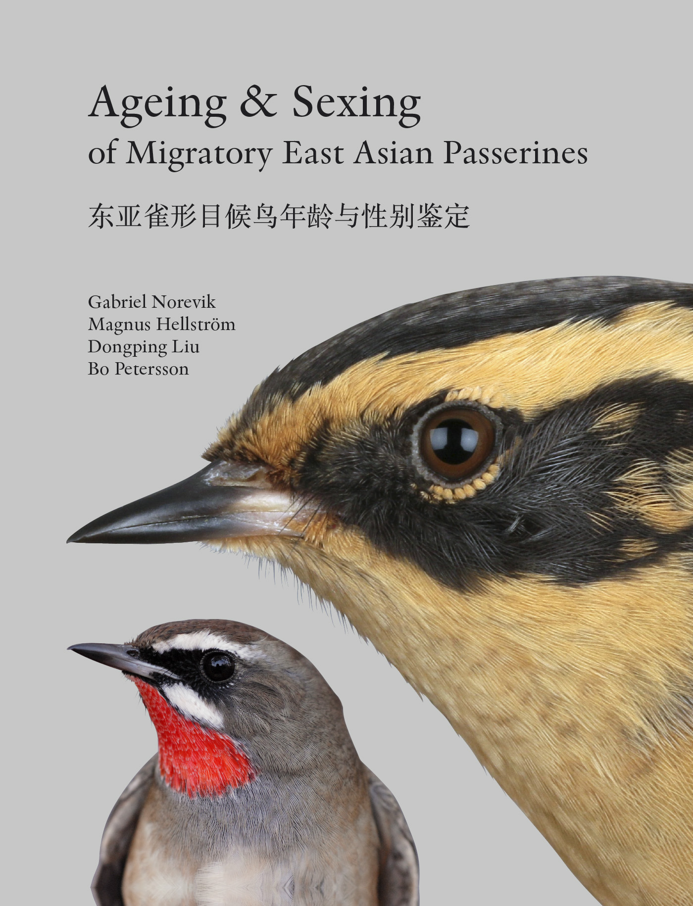 AGEING & SEXING OF MIGRATORY EAST ASIAN PASSERINES