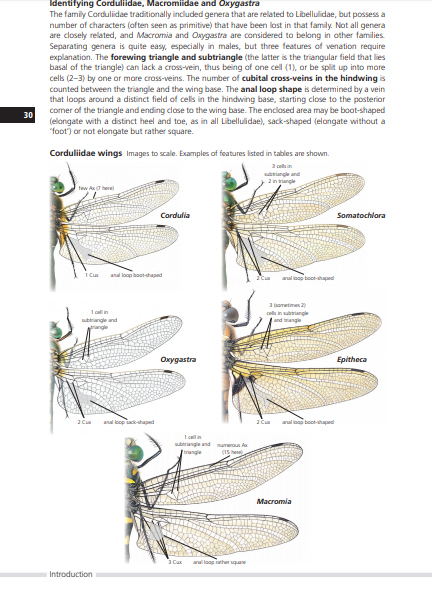 FIELD GUIDE TO THE DRAGONFLIES OF BRITAIN AND EUROPE INCLUDING WESTERN TURKEY AND NORTH-WESTERN AFRICA 4
