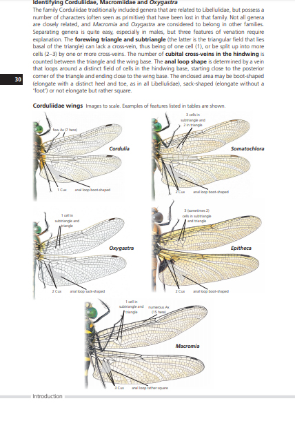 FIELD GUIDE TO THE DRAGONFLIES OF BRITAIN AND EUROPE INCLUDING WESTERN TURKEY AND NORTH-WESTERN AFRICA 4