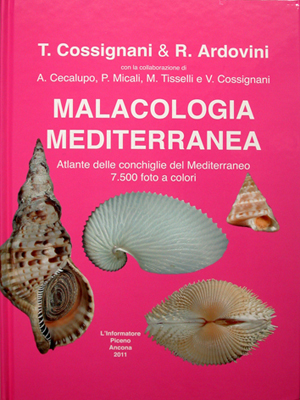 MALACOLOGÍA MEDITERRÁNEA/ ATLAS OF MEDITERRANEAN SEASHELLS/ATLANTE DELLE CONCHIGLIE DEL MEDITERRANEO 1